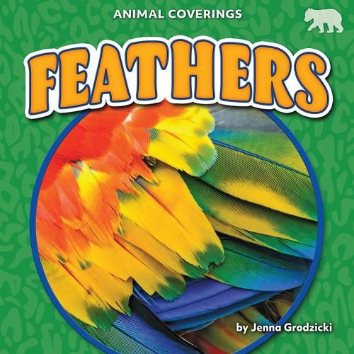 Cover image for Feathers