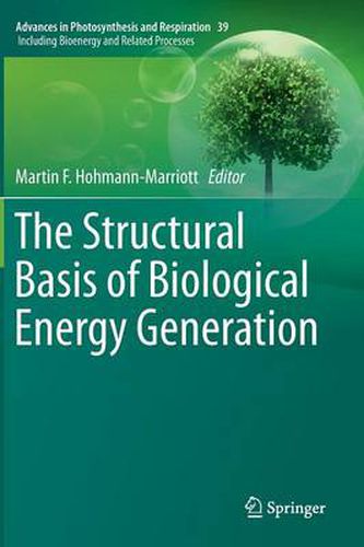 Cover image for The Structural Basis of Biological Energy Generation