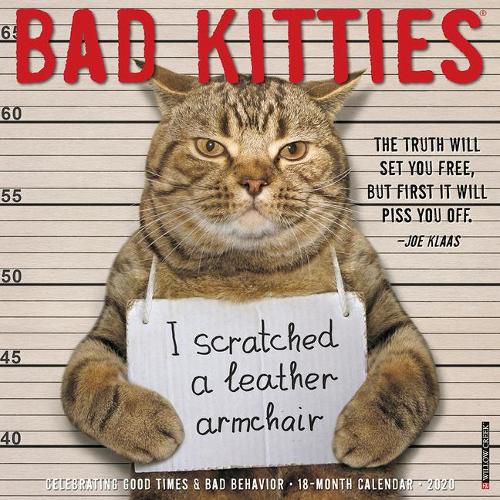 Cover image for Bad Kitties 2020 Wall Calendar