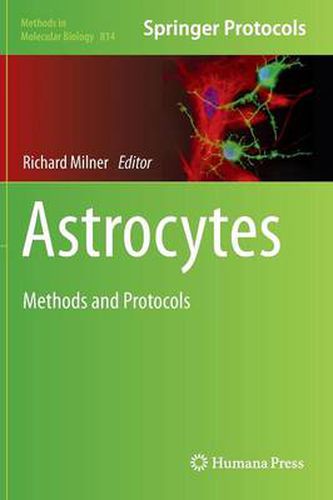 Cover image for Astrocytes: Methods and Protocols