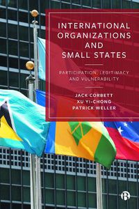 Cover image for International Organizations and Small States: Participation, Legitimacy and Vulnerability