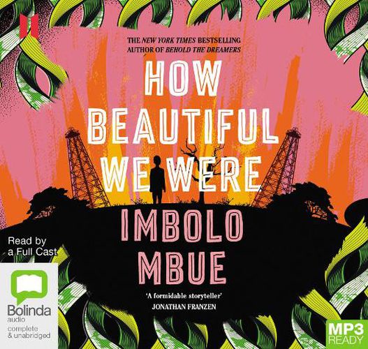 Cover image for How Beautiful We Were