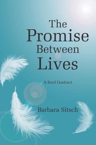 Cover image for The Promise Between Lives