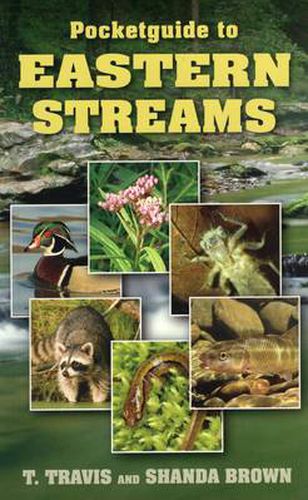 Cover image for Pocketguide to Eastern Streams