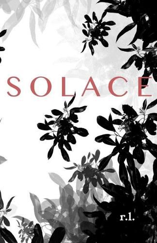 Cover image for Solace