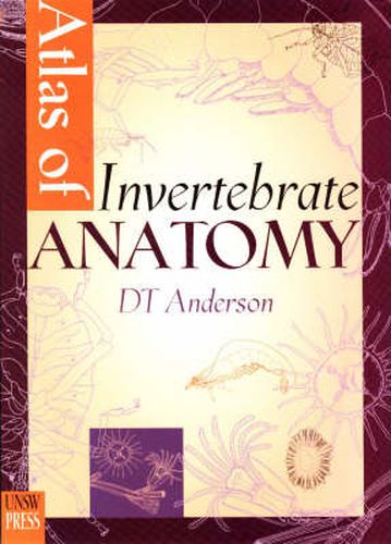 Cover image for Atlas of Invertebrate Anatomy