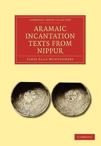 Cover image for Aramaic Incantation Texts from Nippur