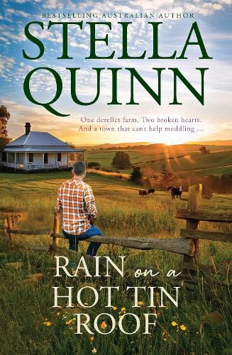 Cover image for Rain on a Hot Tin Roof: A single dad and a town of matchmakers, 2026's funny new romance, perfect for readers of Karly Lane, from an award-winning