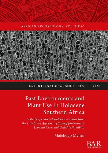 Cover image for Past Environments and Plant Use in Holocene Southern Africa: A study of charcoal and seed remains from the Late Stone Age sites of Toteng (Botswana), Leopard Cave and Geduld (Namibia)