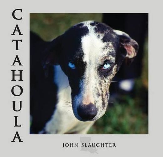 Cover image for Catahoula: Louisiana State Dog