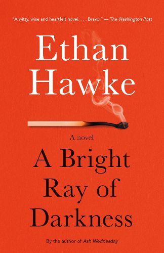 Cover image for A Bright Ray of Darkness: A novel