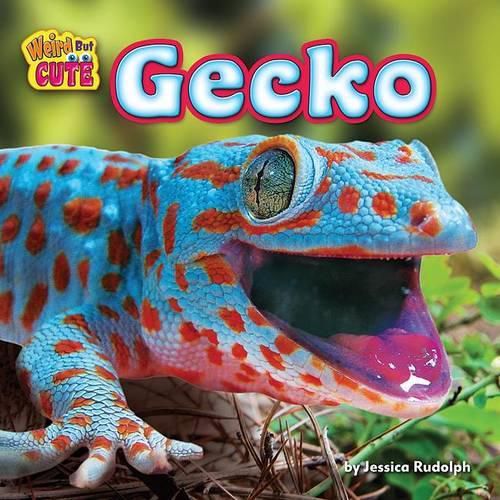 Cover image for Gecko