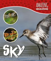 Cover image for Sky