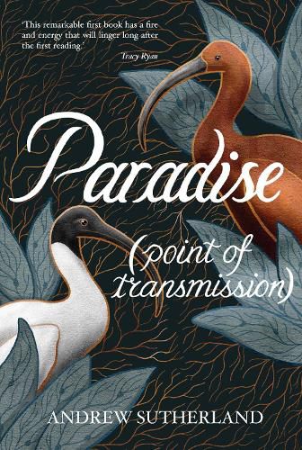 Cover image for Paradise: Point of Transmission