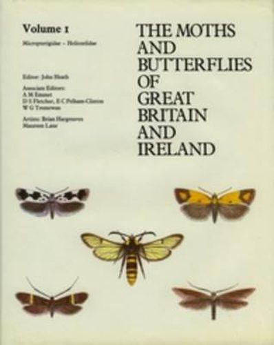 Cover image for Micropterigidae - Heliozelidae