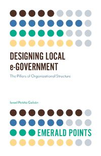 Cover image for Designing Local e-Government: The Pillars of Organizational Structure