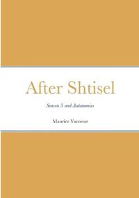 Cover image for After Shtisel