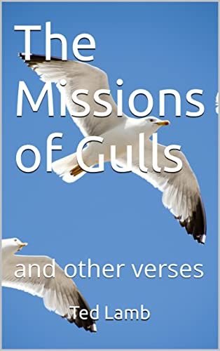 Cover image for The Missions of Gulls