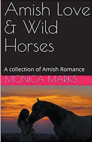 Amish Love & Wild Horses