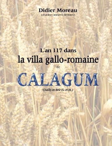 L'an 117 dans la villa gallo-romaine de Calagum