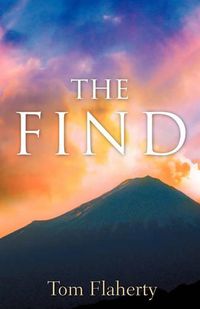 Cover image for The Find