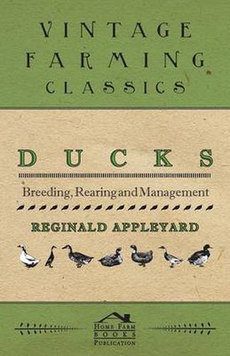 Cover image for Ducks - Breeding, Rearing and Management