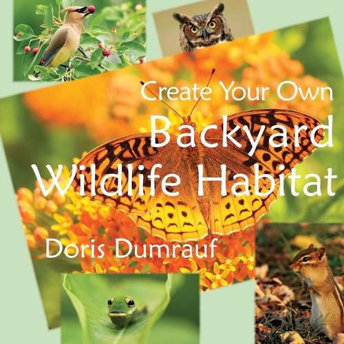 Cover image for Create Your Own Backyard Wildlife Habitat