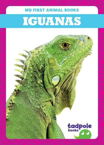 Cover image for Iguanas