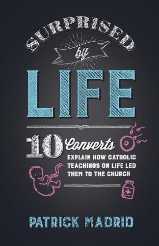 Cover image for Surprised by Life