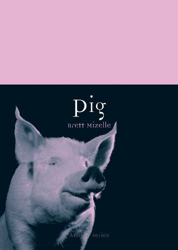 Cover image for Pig