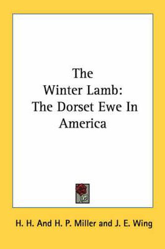 Cover image for The Winter Lamb: The Dorset Ewe in America