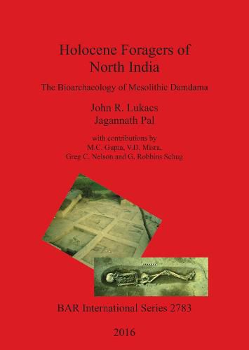 Holocene Foragers of North India: The Bioarchaeology of Mesolithic Damdama