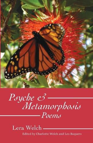 Cover image for Psyche & Metamorphosis