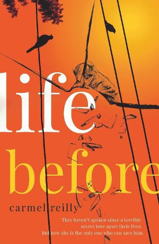 Cover image for Life Before