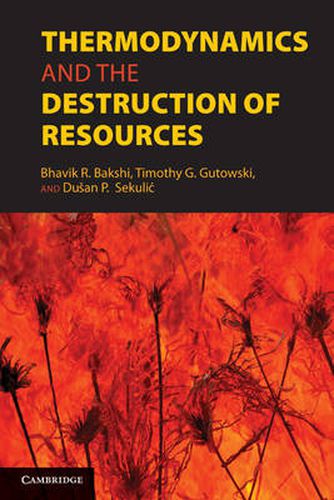 Cover image for Thermodynamics and the Destruction of Resources
