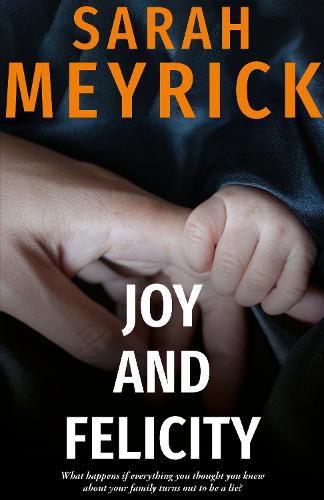 Cover image for Joy and Felicity