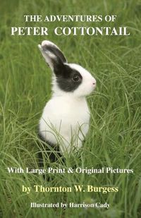 Cover image for The Adventures of Peter Cottontail: With Large Print and Original Pictures