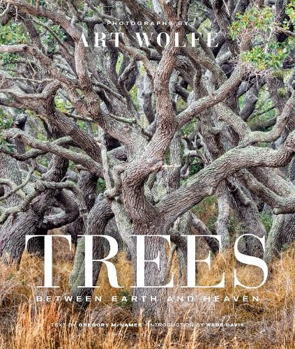 Cover image for Trees: Between Earth and Heaven