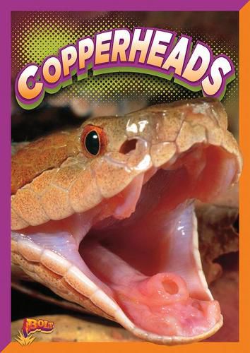 Cover image for Copperheads