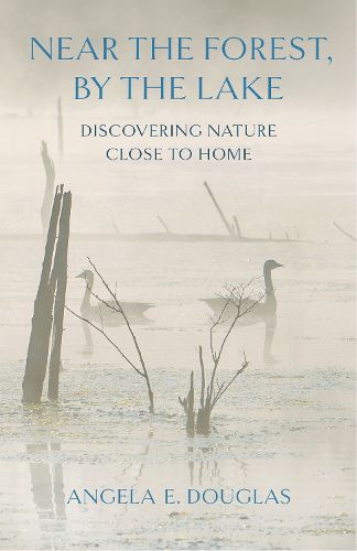Cover image for Near the Forest, by the Lake
