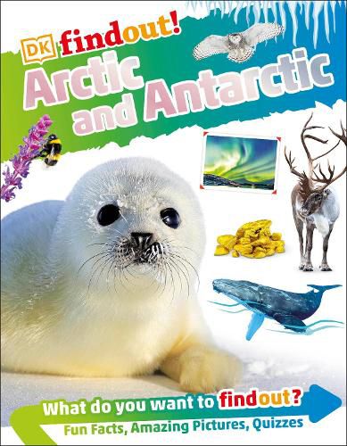 Cover image for DKFindout! Arctic and Antarctic