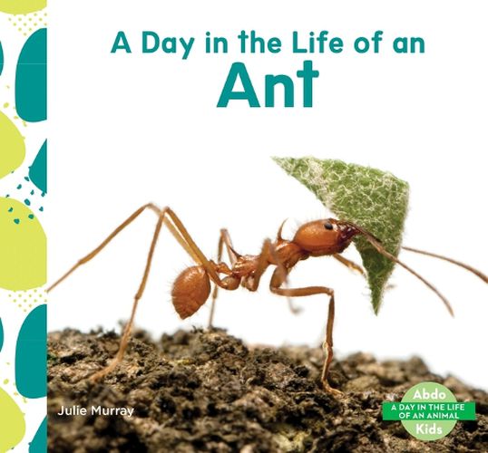 Cover image for Day in the Life of an Ant