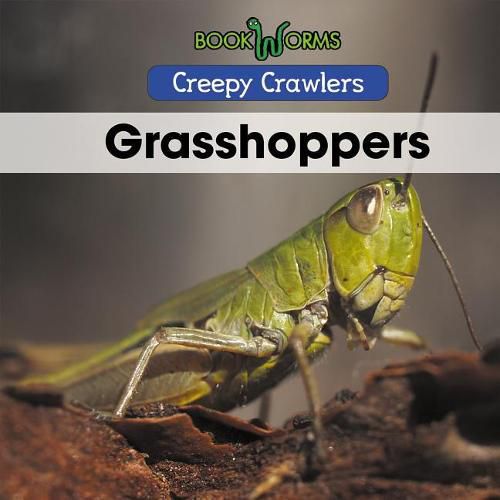 Cover image for Grasshoppers