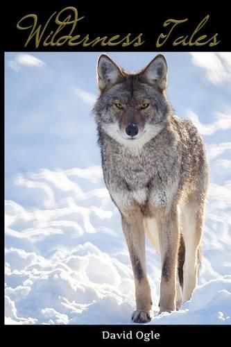 Cover image for Wilderness Tales