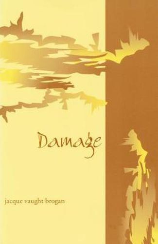 Cover image for Damage