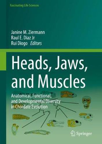 Cover image for Heads, Jaws, and Muscles: Anatomical, Functional, and Developmental Diversity in Chordate Evolution