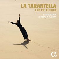 Cover image for La tarantella e un po'di follie
