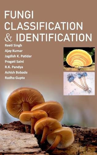 Cover image for Fungi Classification And Identification