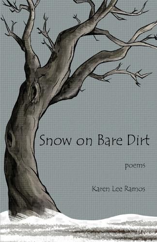 Cover image for Snow on Bare Dirt