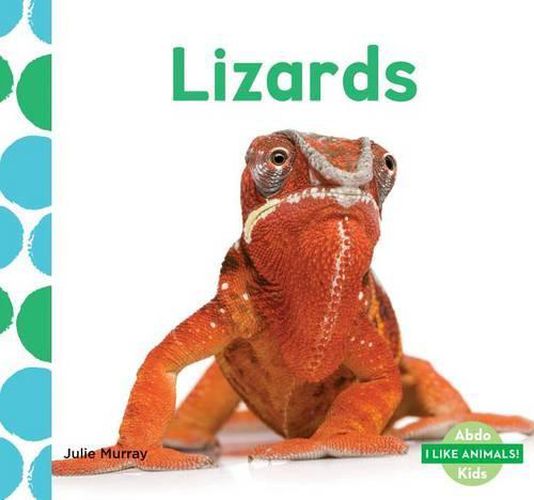 Cover image for Lizards